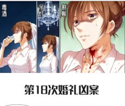 第18次婚礼凶案